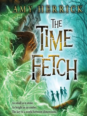 cover image of The Time Fetch